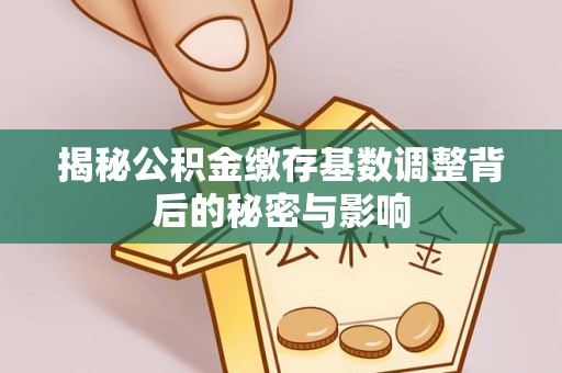 新蔡揭秘公积金缴存基数调整背后的秘密与影响