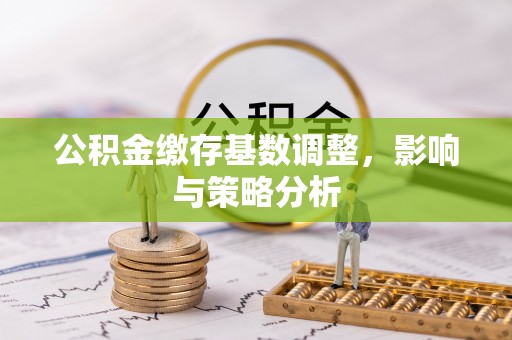 新蔡公积金缴存基数调整，影响与策略分析