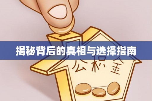 新蔡揭秘背后的真相与选择指南