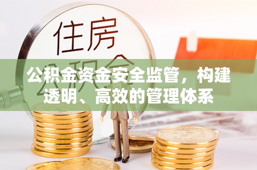新蔡公积金资金安全监管，构建透明、高效的管理体系