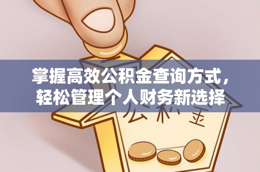 新蔡掌握高效公积金查询方式，轻松管理个人财务新选择