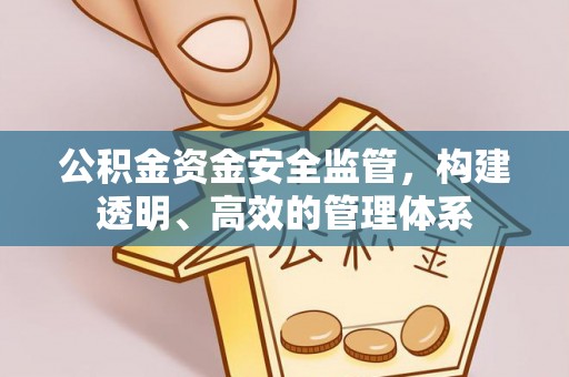 新蔡公积金资金安全监管，构建透明、高效的管理体系