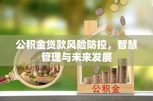 新蔡公积金贷款风险防控，智慧管理与未来发展