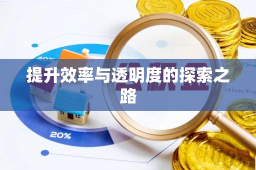 新蔡提升效率与透明度的探索之路