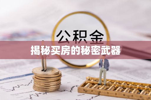 新蔡揭秘买房的秘密武器