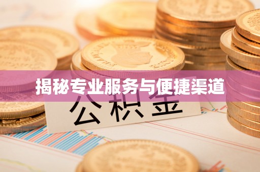 新蔡揭秘专业服务与便捷渠道