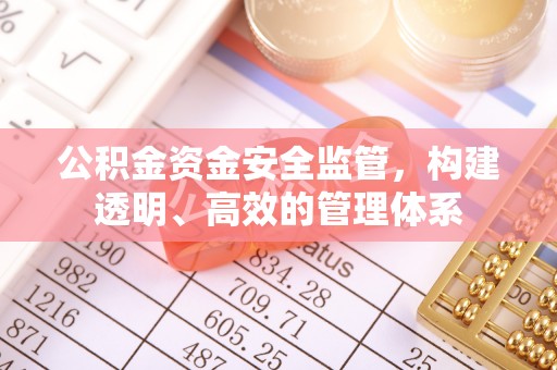 新蔡公积金资金安全监管，构建透明、高效的管理体系