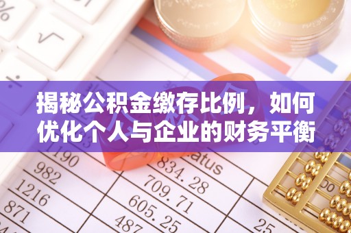 新蔡揭秘公积金缴存比例，如何优化个人与企业的财务平衡