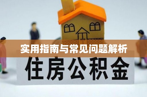 新蔡实用指南与常见问题解析