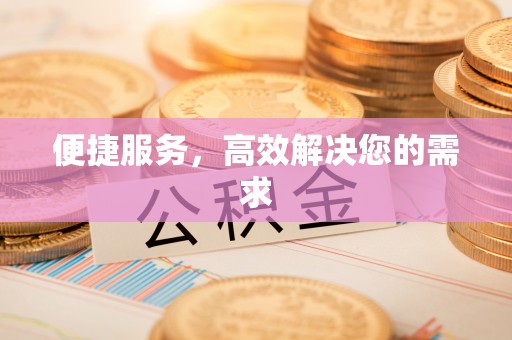 新蔡便捷服务，高效解决您的需求