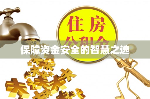 新蔡保障资金安全的智慧之选