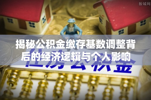 新蔡揭秘公积金缴存基数调整背后的经济逻辑与个人影响