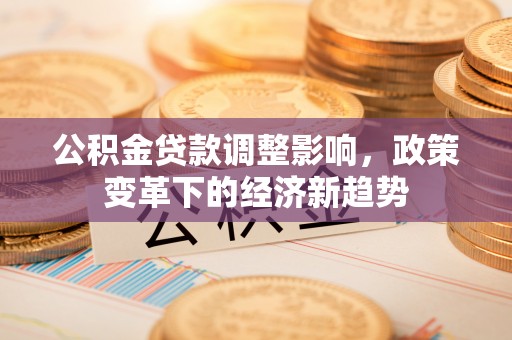 新蔡公积金贷款调整影响，政策变革下的经济新趋势