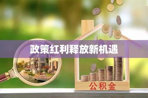 新蔡政策红利释放新机遇