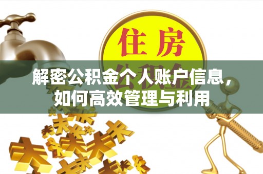 新蔡解密公积金个人账户信息，如何高效管理与利用