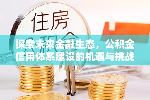 新蔡探索未来金融生态，公积金信用体系建设的机遇与挑战