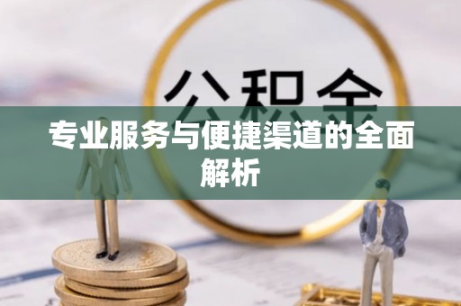 新蔡专业服务与便捷渠道的全面解析
