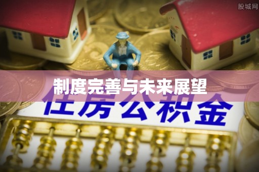 新蔡制度完善与未来展望