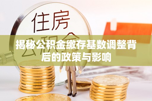 新蔡揭秘公积金缴存基数调整背后的政策与影响