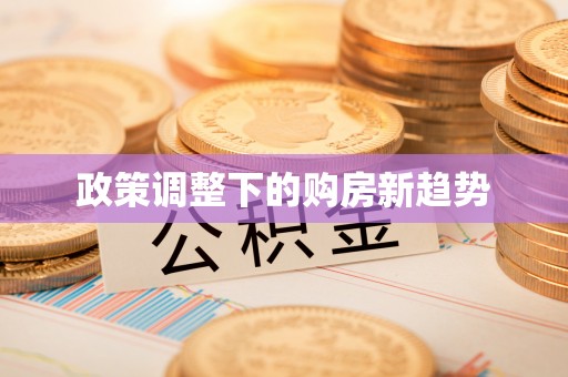 新蔡政策调整下的购房新趋势