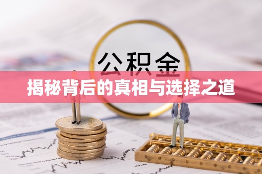 新蔡揭秘背后的真相与选择之道