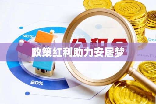 新蔡政策红利助力安居梦