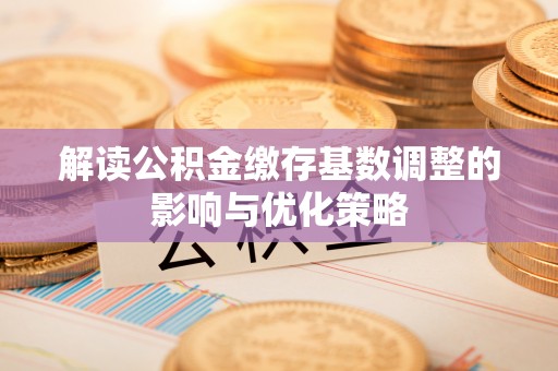 新蔡解读公积金缴存基数调整的影响与优化策略