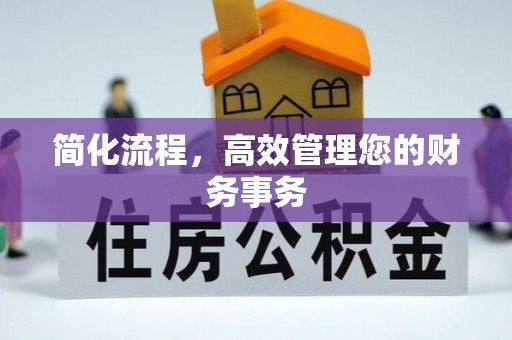 新蔡简化流程，高效管理您的财务事务